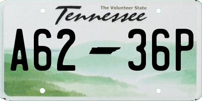 TN license plate A6236P