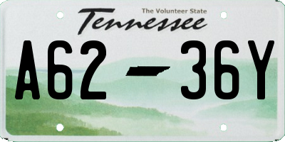 TN license plate A6236Y
