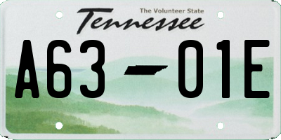 TN license plate A6301E