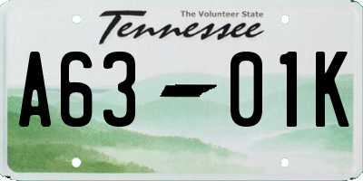 TN license plate A6301K