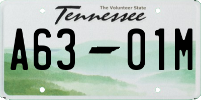 TN license plate A6301M