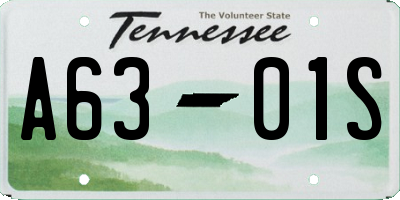 TN license plate A6301S