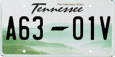 TN license plate A6301V
