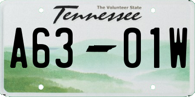 TN license plate A6301W