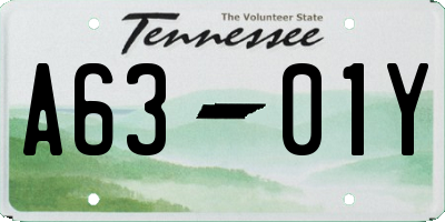 TN license plate A6301Y