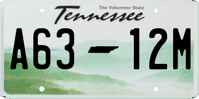 TN license plate A6312M