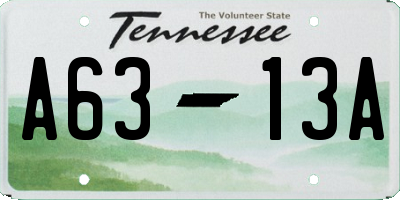 TN license plate A6313A