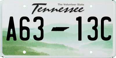 TN license plate A6313C