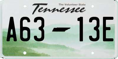 TN license plate A6313E