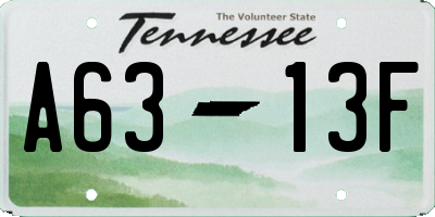 TN license plate A6313F