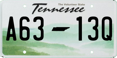 TN license plate A6313Q