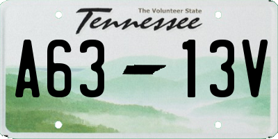 TN license plate A6313V