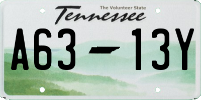 TN license plate A6313Y