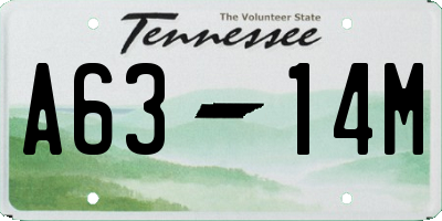 TN license plate A6314M