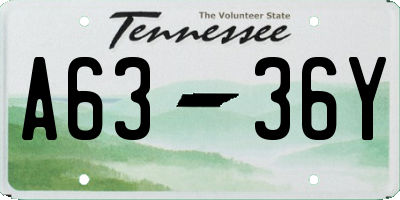TN license plate A6336Y
