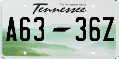 TN license plate A6336Z