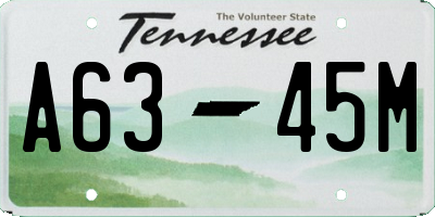 TN license plate A6345M