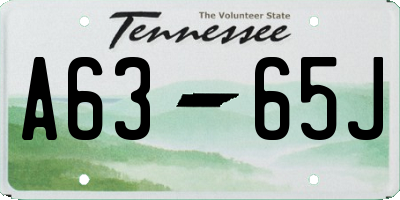 TN license plate A6365J