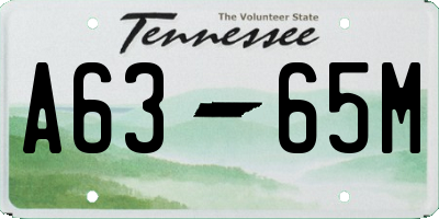 TN license plate A6365M