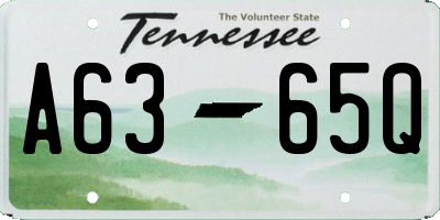 TN license plate A6365Q