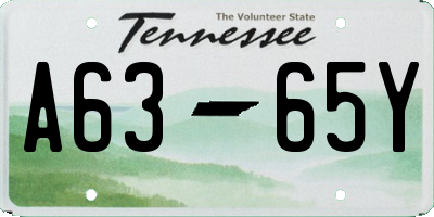 TN license plate A6365Y