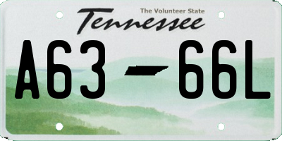 TN license plate A6366L
