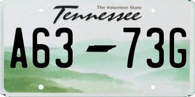 TN license plate A6373G