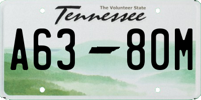 TN license plate A6380M