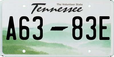 TN license plate A6383E
