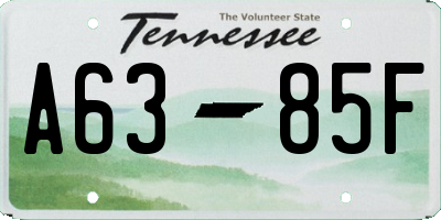 TN license plate A6385F