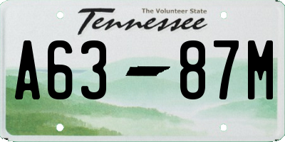 TN license plate A6387M