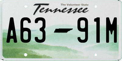 TN license plate A6391M