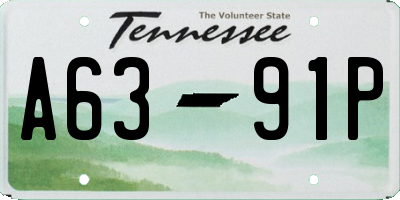 TN license plate A6391P