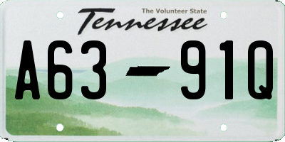 TN license plate A6391Q