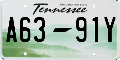 TN license plate A6391Y