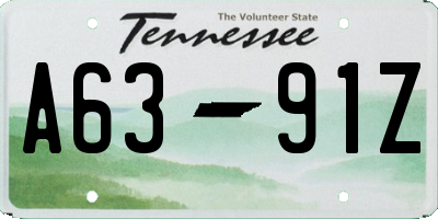 TN license plate A6391Z