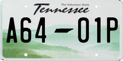 TN license plate A6401P