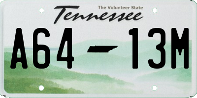 TN license plate A6413M
