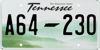 TN license plate A6423O