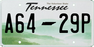 TN license plate A6429P
