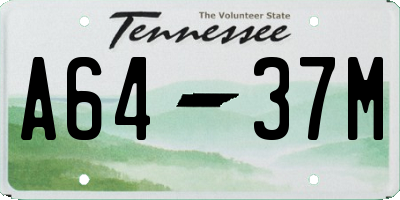 TN license plate A6437M