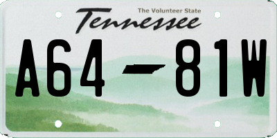 TN license plate A6481W