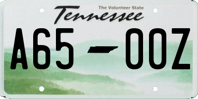 TN license plate A6500Z