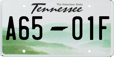 TN license plate A6501F