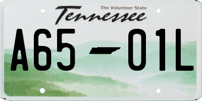 TN license plate A6501L