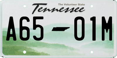 TN license plate A6501M