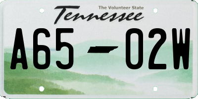TN license plate A6502W