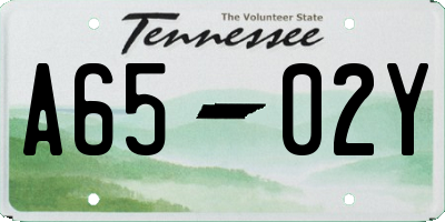 TN license plate A6502Y