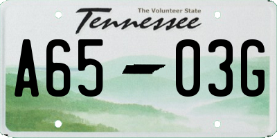 TN license plate A6503G