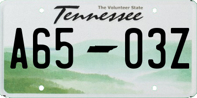 TN license plate A6503Z